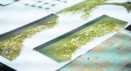 A close up of a model detail laid flat