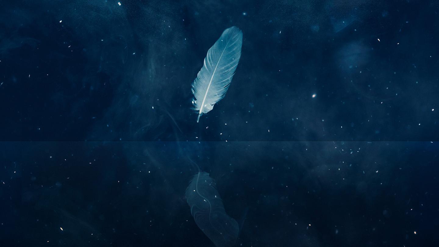 A single white feather reflected in gently moving water against a backdrop of an indigo and starry sky.