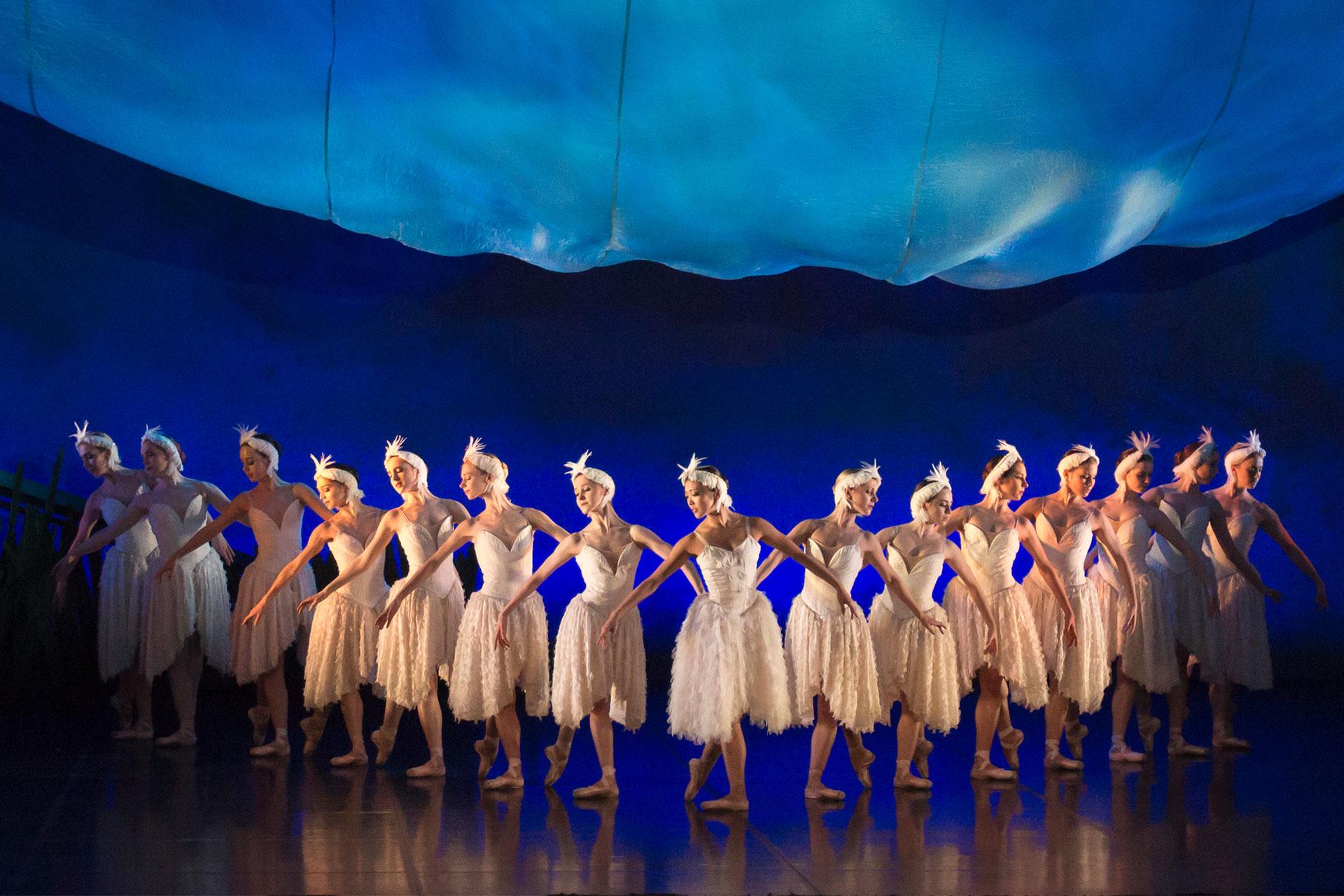 Swan Lake, production, 2016, Northern Ballet dancers, swans, photo Lauren Godfrey The swans line up ready to take flight