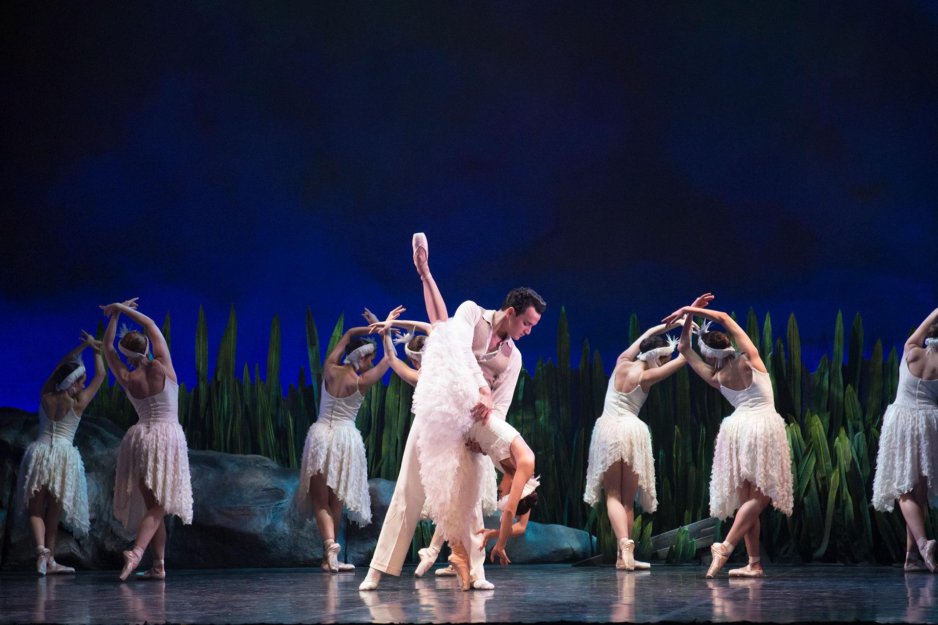 Swan Lake, production, 2016, Javier Torres and Ayami Miyata, Anthony and Odette, swans photo Lauren Godfrey As Anthony falls for Odette, so she falls for him