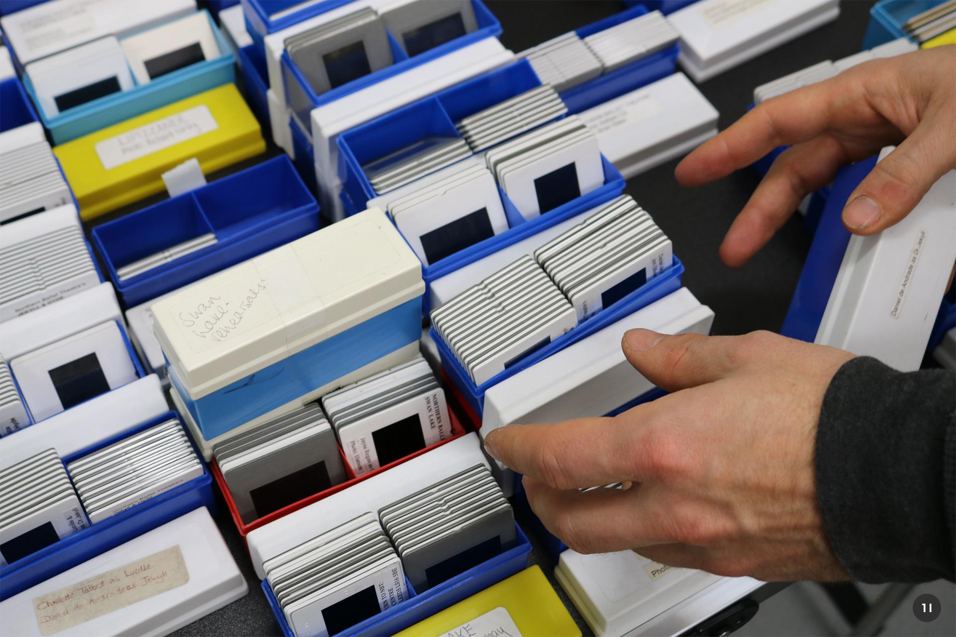 Two hands preparing the 5000+ photographic slides for sorting and digitisation
