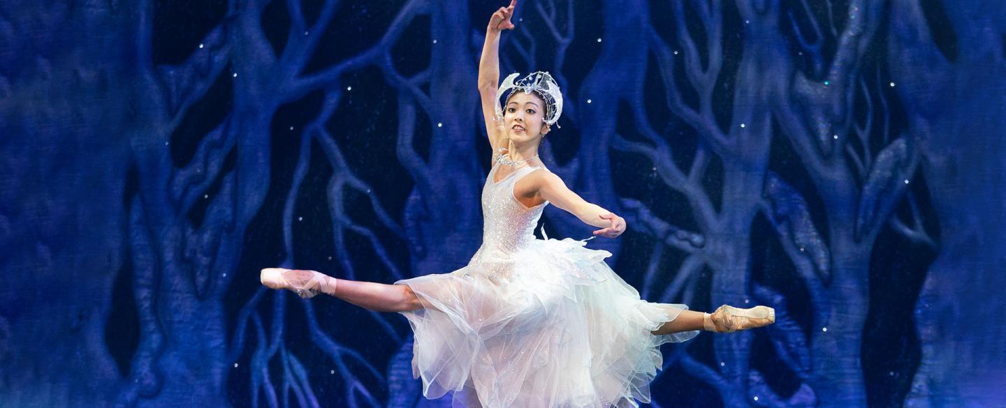 Nutcracker ballet video new arrivals
