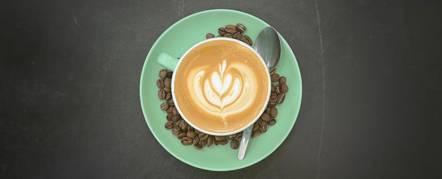 View of a cup of coffee with frothed milk in a fern from above