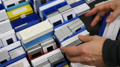 Two hands preparing the 5000+ photographic slides for sorting and digitisation